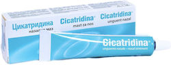 Cicatridina Nasal Ointment 15g Cicatridina Nasal Ointment 15g