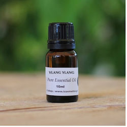 ICosmetics Ätherisches Öl Ylang-Ylang 10ml ICosmetics Ätherisches Öl Ylang-Ylang 10ml