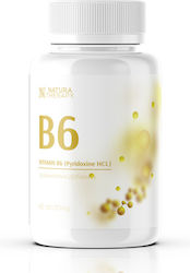 Natura Therapy Βιταμίνη Β6 60 κάψουλες Natura Therapy Βιταμίνη Β6 60 κάψουλες