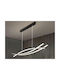Adjustable Ceiling Light LED