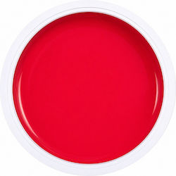 Alezori Medium False Nail Gel 25gr