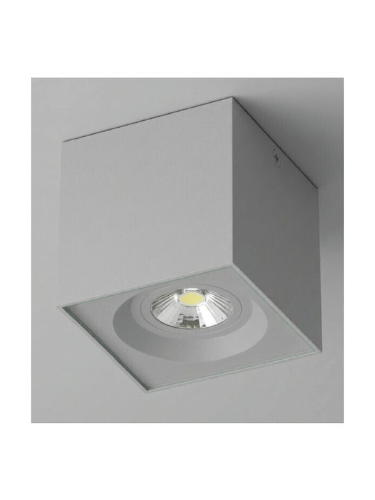 Inlight Außen-Deckenleuchten Punkt GU10 in Grau Farbe 3176