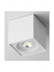 Inlight Outdoor Ceiling Spot GU10 in White Colour 80301024