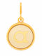 Alex and Ani Charm Monogramm Vergoldet