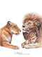Kids Poster Lion Family 50x40cm