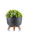 HowHomely Beton-Blumentopf Schwarz 24x15cm