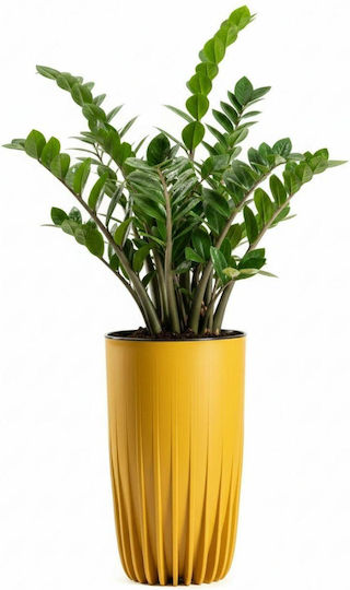 HowHomely Mustard Pflanzgefäß 25,3cm