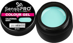 Gel Uv Colorat Menta California 5ml Sensopro Mi...
