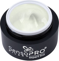 SensoPro 
