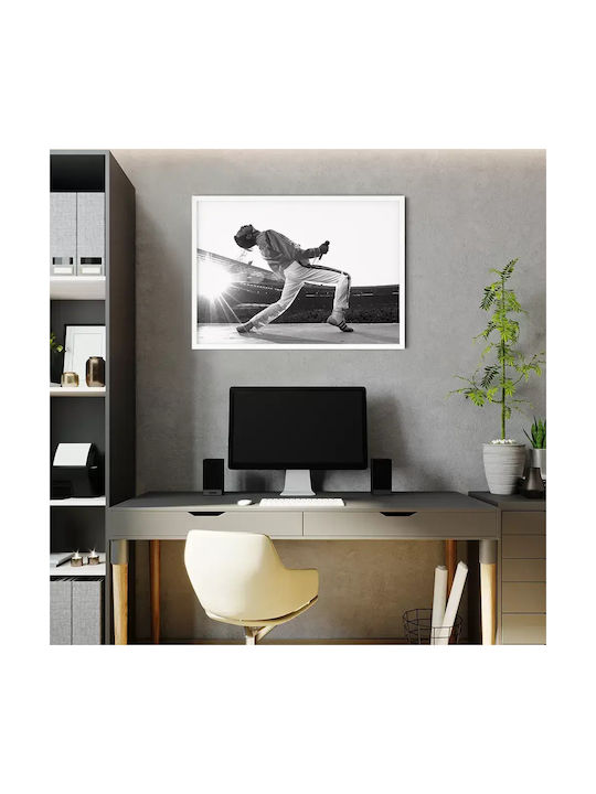 Music Poster Freddie Mercury Ms051 40cm X 50cm ...