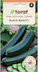 Zucchini Black Beauty 5g