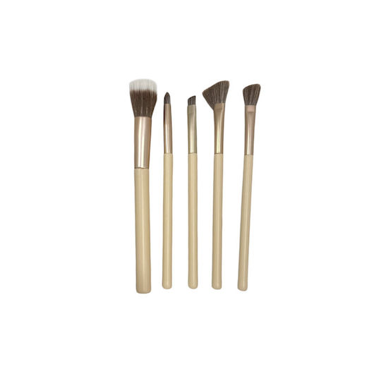 Beauty Salon Professional Set with Make Up Brushes for Foundation 5 Pieces