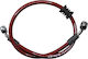 Racing Boy Motorcycle Brake Hose 11860679