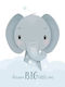 Kids Poster Elephant 50x40cm