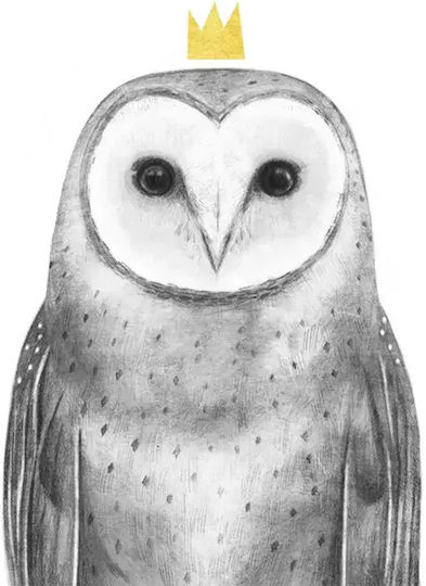 Poster Pentru Copii Queen Owl 50x40cm