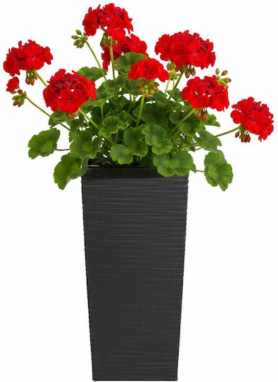 HowHomely Blumentopf Schwarz 36cm