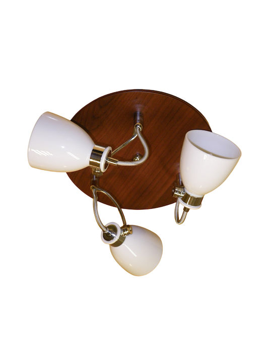 Olympia Electronics Spot With G9 Lamp Adapter In Red Colour