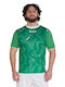Αθλητικό T-shirt Green/white