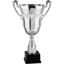 Silber Trophäe Sportpreise