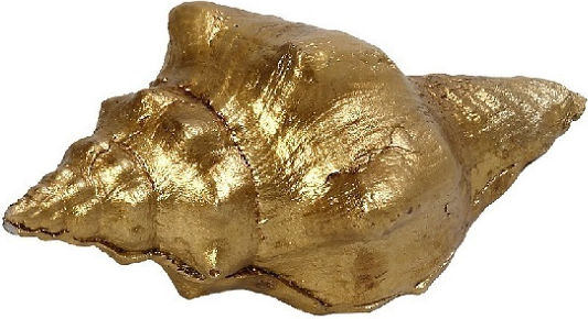 Coajă De Melc Aurie 9x4,5x4cm Set 6 Bucăți Espiel