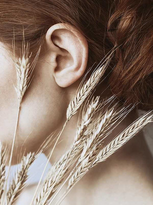 Poster Wheat Pst25120 40cm X 50cm Μαύρη Ξύλινη ...