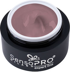 SensoPro SensoPro