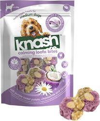 Knash Λιχουδιά 100gr