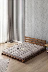 SteweHome Single 80x180x6cm With Springs SteweHome Single 80x180x6cm With Springs