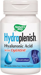 Secom Hydraplenish Plus MSM Natures Way 1000mg 60 Capsule Secom Hydraplenish Plus MSM Natures Way 1000mg 60 Capsule