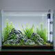 Aquarienbeleuchtung Led-Lampe Für Aquarienbeleuchtung Mit Weißem Licht