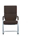 Visitor Chair with Arms in Brown Colour 2 Pieces