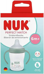 Nuk Training Sippy Cup for 6m+ 150ml