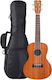 Nakas Ukulele Concert