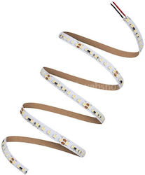 Ledvance Ταινία LED Φυσικό Λευκό Φως