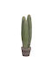 Planta Decorativă Sintetică Fb94743 Cactus Ghiveci Φ16x62cm