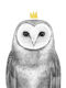 Παιδικό Κάδρο Queen Owl με Λευκή Κορνίζα από Ξύλο 40x50εκ.