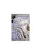 Down Town Home Double Coverlet Rosaltn 235x250cm