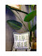 SteweHome Decorative Pillow Case Green 45x45cm