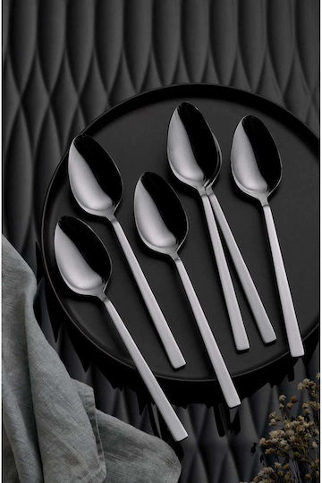 SteweHome Set Of Silver Stainless Steel Dinner Spoons 6 Pieces