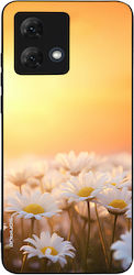 Sonique Silikon Rückseite Gold (Moto G84)