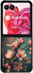 Sonique Umschlag Rückseite Silikon für Razr 50 ...