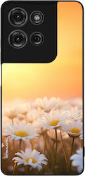Sonique Back Cover Silicon Auriu Moto G75