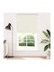 vidaXL Roller Blinds Total Blackout Ecru W125xH230cm 4011731