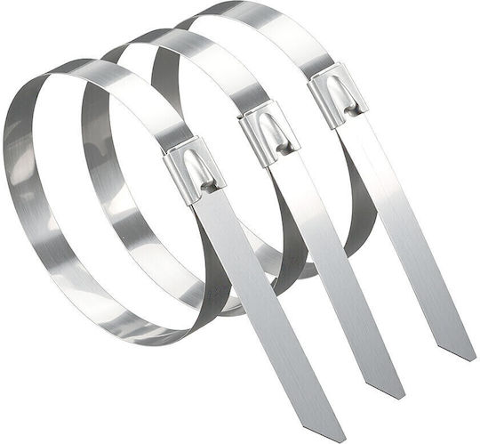Braytron Δεματικά Καλωδίων Πλαστικά 200mmx4.6mm σε Ασημί χρώμα (50τμχ) BY90-01121