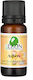 BioLeon Αιθέριο Έλαιο Λιβάνι 10ml