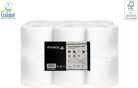 Ameco Rolă Prosop de Hârtie Albă Dispensare Centrală 110m 2 Straturi 6 Role Cutie Ameco