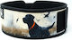 Black Lab 4"straight Weightlifting Belt 2pood