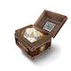 Dungeons & Dragons Blind Mystery Box Dice Fizban's Treasure D20 25mm