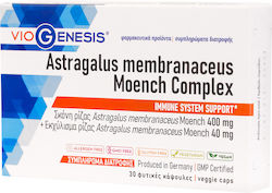 Viogenesis Astragalus Membranaceus Moench Complex 30 Vegetable Capsules