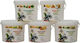 Evia Parrots Large Natural Fruit Formula – Pellets Συντήρησης Φρούτα Μεγάλους Παπαγάλους 10kg